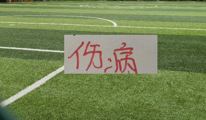 申花三年间再添一名重伤球员，此前马纳法经历漫长康复终迎转机，球队伤病问题持续引发关注