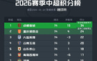 中超第14轮积分榜出炉：成都蓉城遭遇两连败仍以10分优势领跑，武汉三镇与天津津门虎双双深陷降级区，保级形势愈发严峻