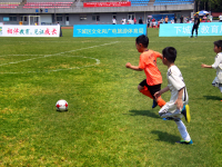 奥地利VS突尼斯直播_奥地利VS突尼斯免费直播在线直播