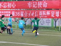 德国VS芬兰直播_德国VS芬兰直播观看免费_德国VS芬兰